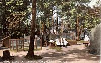Picture of a postcard that shows the animal cages at Seneca Park