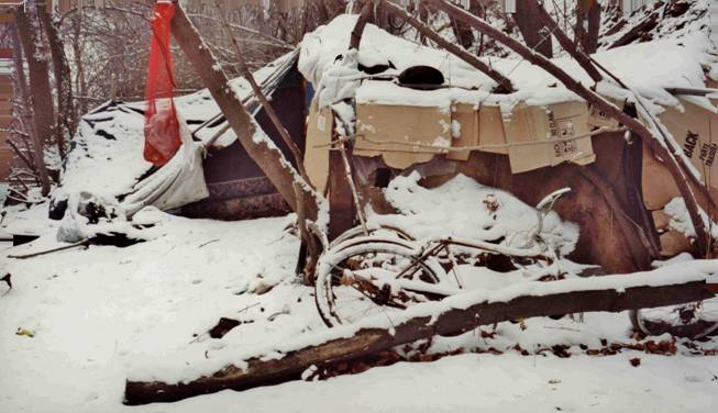 Shelter
